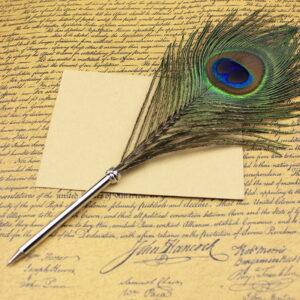 Peacock Feather Pen