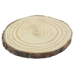 Unfinished Natural Wood Slice with Bark 10 inch