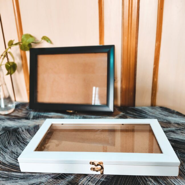 IMG_20260121_113843 IMG_20260121_113843